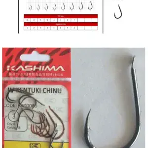 Kashıma W-Kentukı Chunı OP00060 JAPAN