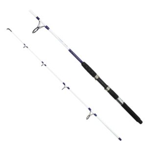 Captain 1418 Moonstar Boat 2 Parça Tekne Kamışı 150gr Atar 1.80mt