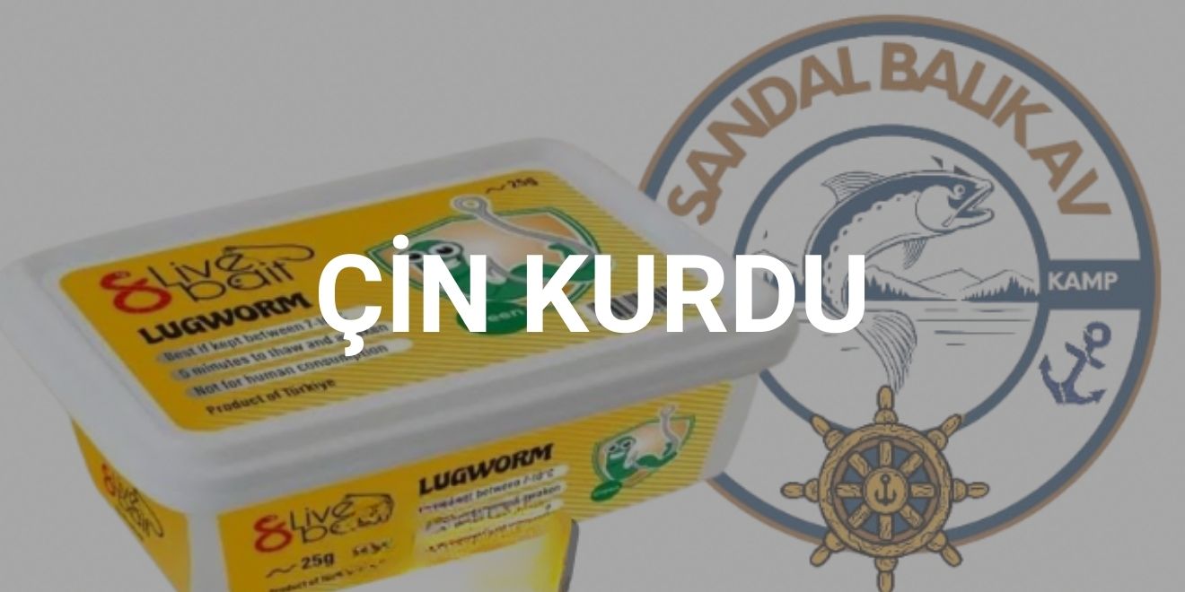 cin-kurdu-kategorisi